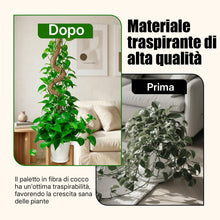 Carica l'immagine nel visualizzatore di Gallery, Tutore per Piante Monstera 120cm Extra Spesso Ø 4cm - Palo di Muschio Pieghevole in Fibra di Cocco con Anima in Allumini