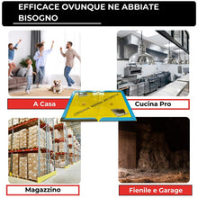 Carica l'immagine nel visualizzatore di Gallery, Trappola Adesiva per Topi e Ratti - 10 Tavolette con Colla Extra Forte - Topicida Non Tossico - Cattura Roditori - Profe
