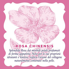 Carica l'immagine nel visualizzatore di Gallery, Acqua alle Rose, Tonico + Acqua Micellare Lenitiva + Crema Antirughe