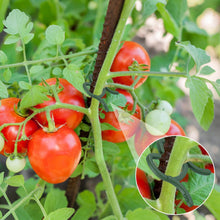 Carica l'immagine nel visualizzatore di Gallery, 200 Pezzi Clip di Supporto per Piante, Clip per Piante Rampicanti, Clip per Piante da Giardino, Morsetti per Piante Ramp