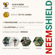 Carica l'immagine nel visualizzatore di Gallery, Olio di Neem per Piante - 500ml Pronto all’Uso - 100% Biologico, Formula Potenziata - Repellente Naturale contro Cimici, Afidi, Cocciniglia, Ragnetto Rosso, Zanzare, Insetti