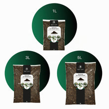 Carica l'immagine nel visualizzatore di Gallery, GebEarth® | Terriccio per Piante Verdi | Nutrimento Prolungato e Crescita Sana | Ideale per Monstera, Photos, Dracaena e