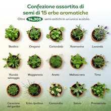 Carica l'immagine nel visualizzatore di Gallery, Nojus - 15 Confezioni di Semi di Erbe Varie - Massima Qualità -Pedaggio per Bevande - Kit di Semi di Piante Varie - Semi