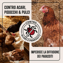 Carica l'immagine nel visualizzatore di Gallery, AniForte Spray Antiacaro per Polli, Galline e Pollame 500ml – Antiparassitario Contro Acari, Pidocchi e Parassiti, Spray