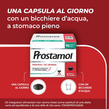 Carica l'immagine nel visualizzatore di Gallery, Prostamol, Integratore Prostata e Vie Urinarie, con Serenoa repens, 90 caps