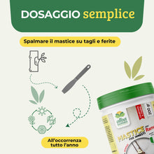Carica l'immagine nel visualizzatore di Gallery, Albagarden - Mastice Per Innesti E Potature ++ Con Rame ++ Antibatterico Pasta Cicatrizzante Curativa Per Ferite Piante 