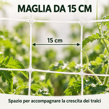 Carica l'immagine nel visualizzatore di Gallery, Rete per Piante Rampicanti e Ortaggi Bianca 10 x 1,7 m
