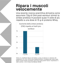 Carica l'immagine nel visualizzatore di Gallery, EAA Aminoacidi Essenziali RTP con Vitamina B6, 500 Compresse
