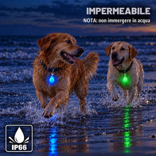 Carica l'immagine nel visualizzatore di Gallery, 2 luci LED impermeabili per cani con USB ricaricabile per passeggiare di notte, attaccate al collare, al guinzaglio o al