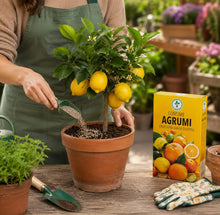 Carica l'immagine nel visualizzatore di Gallery, Floravibe Concime Agrumi NPK 13-5-20 Granulare 1Kg – Fertilizzante Rapido per Limoni, Arance, Mandarini con Magnesio – F