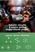Carica l'immagine nel visualizzatore di Gallery, Optimum Nutrition Creatina Monoidrata Micronizzata in Polvere, 317g