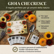 Carica l'immagine nel visualizzatore di Gallery, Semi di girasole colorati con alto tasso di germinazione - semi di fiori per un giardino colorato e accogliente per le a
