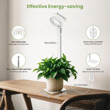 Carica l'immagine nel visualizzatore di Gallery, Luce crescita 12V Grow Light per piante da interno, spettro completo 660nm, lampada piante con timer 8/12/16H, smart plu