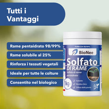 Carica l'immagine nel visualizzatore di Gallery, Solfato di Rame | Concime Inorganico Puro 98/99% | Rame Solubile 25% | Uso Agricolo e Biologico | Residuo Zero | Rame Pe