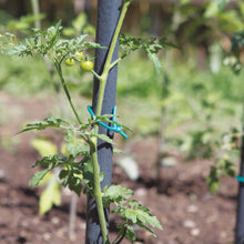 Carica l'immagine nel visualizzatore di Gallery, TENAX Tubetto Agricolo Verde 1000g Diametro 2mm, Legatura in PVC per Piante, ortaggi e Fiori, Lunghezza Circa 240 m,1 item