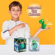 Carica l&#39;immagine nel visualizzatore di Gallery, CRAZE MEGA EGG DINOREX, Dinosauro che si schiudono in acqua, uova dinosauro che cresce nell acqua diversi modelli, giochi bambini uovo da cova, uovo sorpresa.