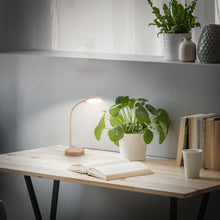 Carica l'immagine nel visualizzatore di Gallery, BRILONER - Lampada da tavolo a LED con touch, dimmerabile a passi, orientabile, lampada da comodino, lampada da scrivani