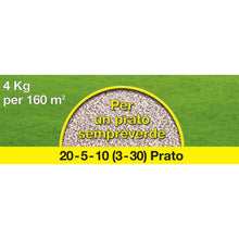 Carica l'immagine nel visualizzatore di Gallery, COMPO Prato, Concime Per Tappeti Erbosi, Per un Prato Sempreverde, 4kg