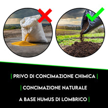Carica l'immagine nel visualizzatore di Gallery, ZOMAGARDEN - Carbone Vegetale per Piante - Fertilizzante e Inerte Naturale per Migliorare il Suolo - Ideale per Orchidee