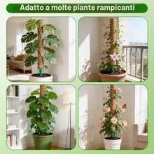 Carica l'immagine nel visualizzatore di Gallery, HOVIN Monstera - Traliccio di cocco – Confezione da 4 bastoncini di muschio estensibili 40 cm – per piante rampicanti da