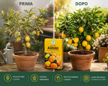 Carica l'immagine nel visualizzatore di Gallery, Floravibe Concime Agrumi NPK 13-5-20 Granulare 1Kg – Fertilizzante Rapido per Limoni, Arance, Mandarini con Magnesio – F