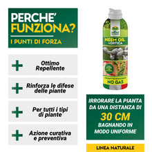Carica l&#39;immagine nel visualizzatore di Gallery, Albagarden - Effetto Insetticida Piante Naturale - Olio Di Neem Per Piante + Estratto Di Ortica Biologico - Repellente Per Cocciniglia Afidi Ragnetto Rosso Pidocchi Zanzare E Insetti - Spray 250 ml