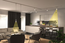 Carica l'immagine nel visualizzatore di Gallery, Paulmann 29052 Riflettore a LED standard 230V R63 230V 5W 470lm 63 mm argentato vetro 4000K E27