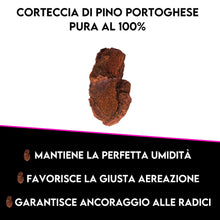 Carica l'immagine nel visualizzatore di Gallery, ZOMAGARDEN - Bark per Orchidee Premium - Corteccia Naturale per Orchidee - Lavata, Sterilizzata, 100% Ecologica - 2L (10