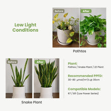 Carica l'immagine nel visualizzatore di Gallery, Luce crescita 12V Grow Light per piante da interno, spettro completo 660nm, lampada piante con timer 8/12/16H, smart plu
