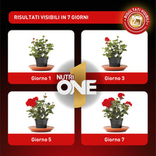 Carica l'immagine nel visualizzatore di Gallery, NutriONE Concime Liquido Concentrato per Piante e Fiori per risultati in 7 Giorni! 1L