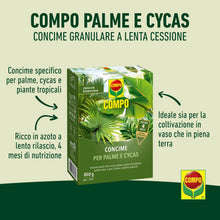 Carica l'immagine nel visualizzatore di Gallery, COMPO Concime Lenta Cessione Per Palme e Cycas, 850g