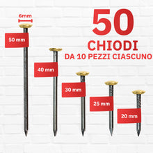 Carica l'immagine nel visualizzatore di Gallery, Rikama 50 chiodi per quadri, da 10 x 20, 25, 30, 40, 50 mm, chiodi in acciaio, ideali per appendere quadri, Made in Ital