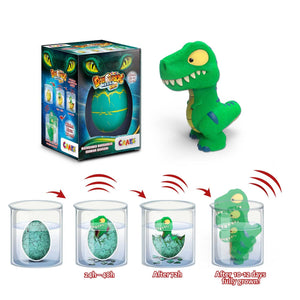 CRAZE MEGA EGG DINOREX, Dinosauro che si schiudono in acqua, uova dinosauro che cresce nell acqua diversi modelli, giochi bambini uovo da cova, uovo sorpresa.