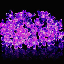 Carica l'immagine nel visualizzatore di Gallery, KINGCOO Catena Luminosa Stringa Luci Fiore Solare Esterna,Impermeabile 21ft 50LED Fiore di Pesca Ciliegio Luci di String