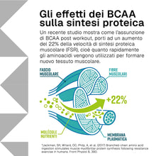 Carica l'immagine nel visualizzatore di Gallery, Aminoacidi Ramificati BCAA 8 1 1 RTP con Vitamina B6, 500 Compresse