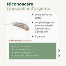 Carica l'immagine nel visualizzatore di Gallery, DFNT Combatte i pesciolini d'argento con spray per pesci d'argento, 500 ml, prodotto biodegradabile contro i pesci d'argento, alternativa