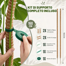 Carica l'immagine nel visualizzatore di Gallery, Tutore per Piante Rampicanti 2x 160 cm - Palo di Muschio Pieghevole in Cocco con Anima in Alluminio, Supporto Modellabil