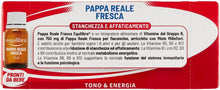 Carica l'immagine nel visualizzatore di Gallery, Equilibra Pappa Reale Fresca, 10 Flaconcini, con Vitamina B
