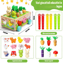 Carica l'immagine nel visualizzatore di Gallery, SACBRZZ Giochi Montessori 1 Anno, 6-in-1 Giochi Montessori 2 Anni, Magnetici Di Pesca in Legno, Abilità Motorie Giocattoli Educativi, Bambini Regalo per 1 2 3 4 Anni Compleanno Maschio Femmina