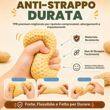 Carica l'immagine nel visualizzatore di Gallery, 1pcs Squishy Arachide Croccante ASMR, Crunchy Peanut Squishy, Giocattolo Antistress a Lento Ritorno