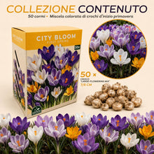 Carica l'immagine nel visualizzatore di Gallery, Nojus - City Bloom - First Spring Mix di bulbi di croco 50