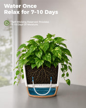 Carica l'immagine nel visualizzatore di Gallery, Bamworld Vaso per Piante da Interno con drenaggio Bianco 6 Pezzi Autoirrigante 12.7cm/14cm/15.2cm/16.5cm/17.8cm/20.3cm V
