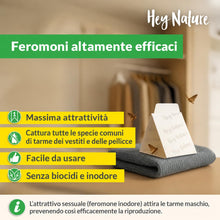 Carica l'immagine nel visualizzatore di Gallery, Hey Nature Trappole Antitarme per Vestiti, 10 Pezzi, Senza Insetticidi