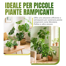 Carica l'immagine nel visualizzatore di Gallery, Mcbazel 2 Pezzi di Tubi in Muschio di Cocco Flessibili da 70 cm per Piante Rampicanti con Legacci, Tuteur Ideale per Mon