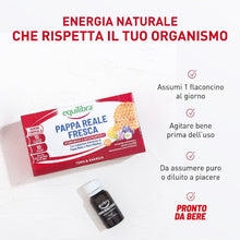 Carica l'immagine nel visualizzatore di Gallery, Equilibra Pappa Reale Fresca, 10 Flaconcini, con Vitamina B