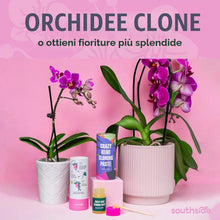 Carica l'immagine nel visualizzatore di Gallery, Pasta Keiki per moltiplicare e per Far Crescere l’Orchidea Phalaenopsis - citochinina e vitamina B1 per espandere la Tua