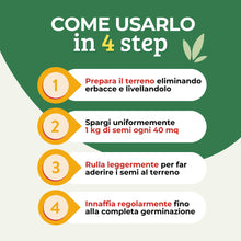 Carica l'immagine nel visualizzatore di Gallery, Albagarden - Semi Prato Universale Resistente - 40m² - Per Zone Ombreggiate e Soleggiate - Sementi Erba per Tappeti Erbo