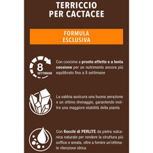 Carica l'immagine nel visualizzatore di Gallery, COMPO CACTEA Terriccio per Cactacee, Per una Crescita Omogenea delle Piante, Sacco 2,5 L