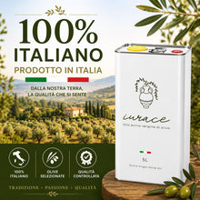 Carica l'immagine nel visualizzatore di Gallery, Iurace Olio Extravergine di Oliva Calabria, estratto a freddo, 5 Litri