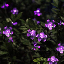Carica l'immagine nel visualizzatore di Gallery, KINGCOO Catena Luminosa Stringa Luci Fiore Solare Esterna,Impermeabile 21ft 50LED Fiore di Pesca Ciliegio Luci di String